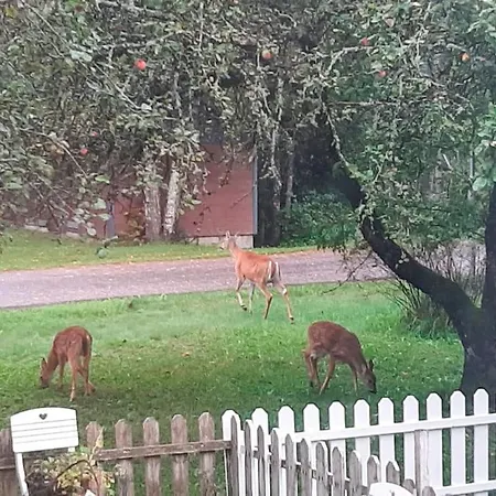 Apartmán Viihtyisae Yksioe Laehellae Fiskarsin Ruukkia