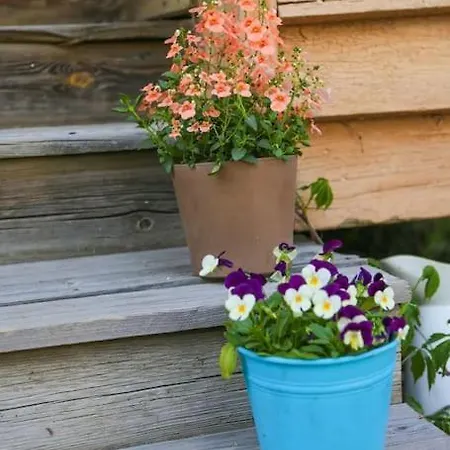 Viihtyisae Yksioe Laehellae Fiskarsin Ruukkia Raseborg